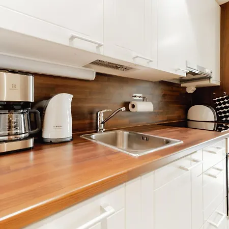 Modern 1br Next To Slopes * Levi
